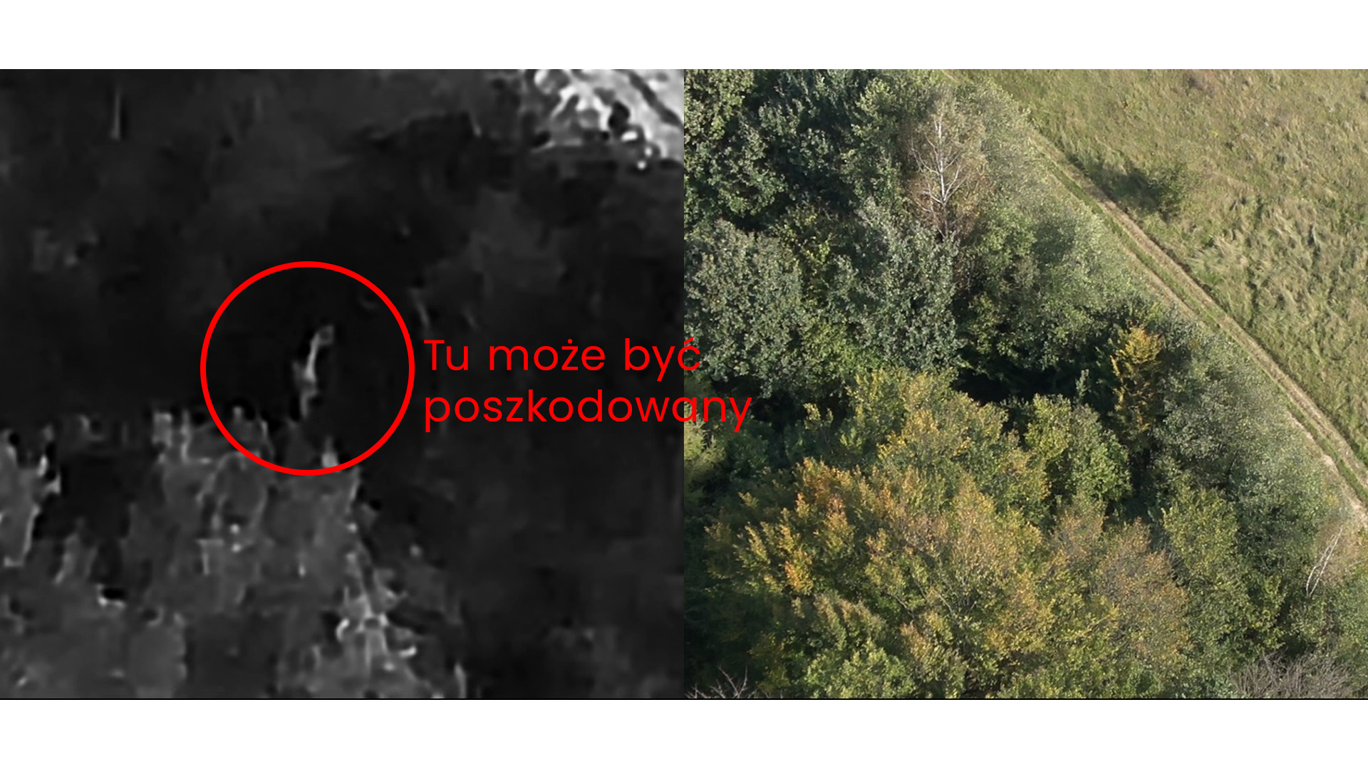 poszkodowany
